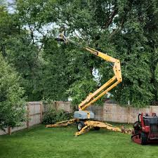 Grass Overseeding in Council Bluffs, IA